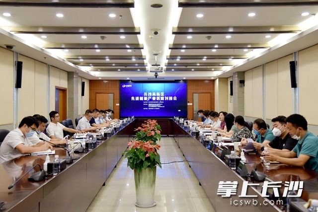 8月20日，长沙高新区举行先进储能产业供需对接会。