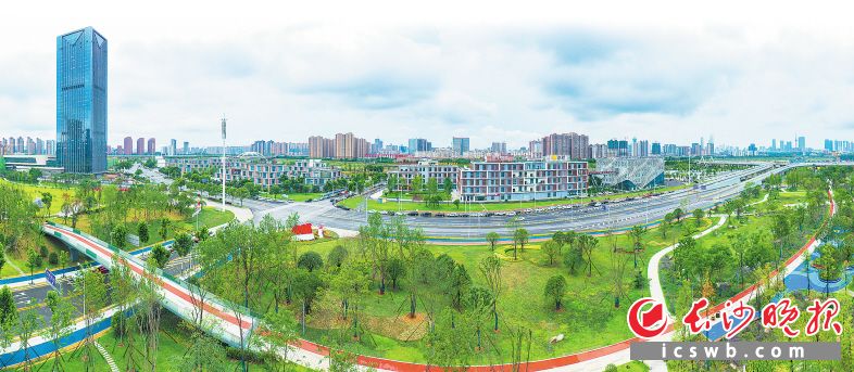 今年以来，长沙对产业链进一步优化，新增视频文创产业链。图为拔节生长的马栏山视频文创产业园。均为资料图片