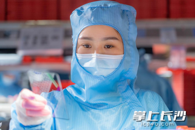 蓝思科技一线作业员 资料图片