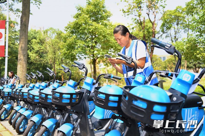 哈啰出行工作人员对共享单车进行管理维护。