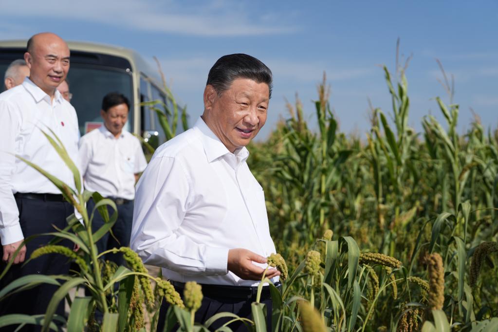 新华社记者 李学仁 摄