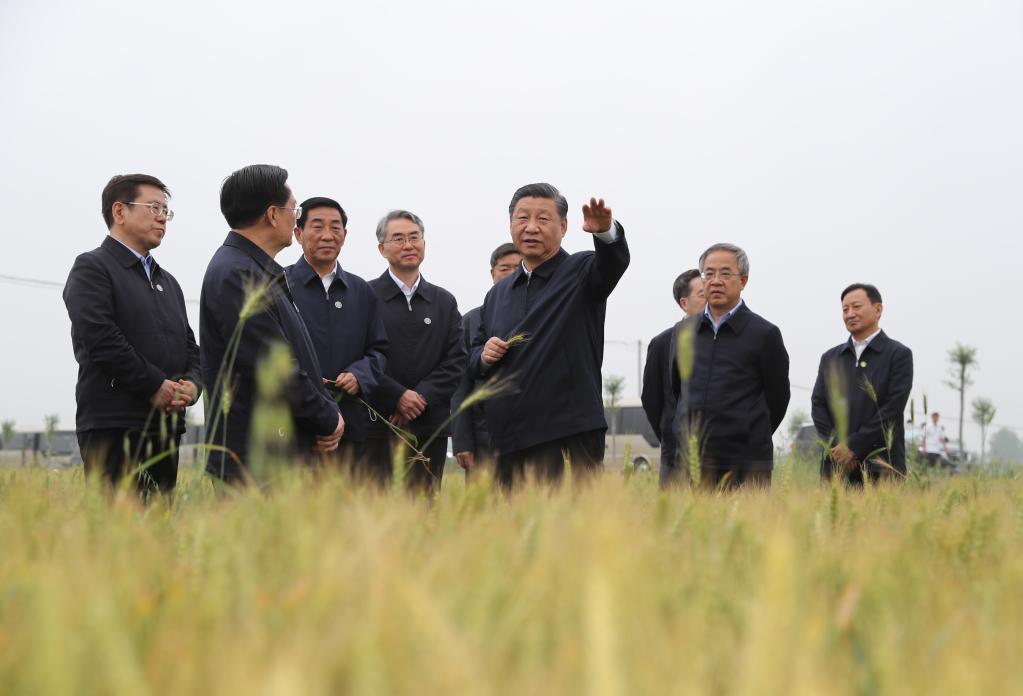 2021年5月13日下午，中共中央总书记、国家主席、中央军委主席习近平在河南省南阳市淅川县考察南水北调工程。这是途中，习近平临时下车走进麦田察看小麦长势，了解夏粮生产情况。新华社记者 王晔 摄
