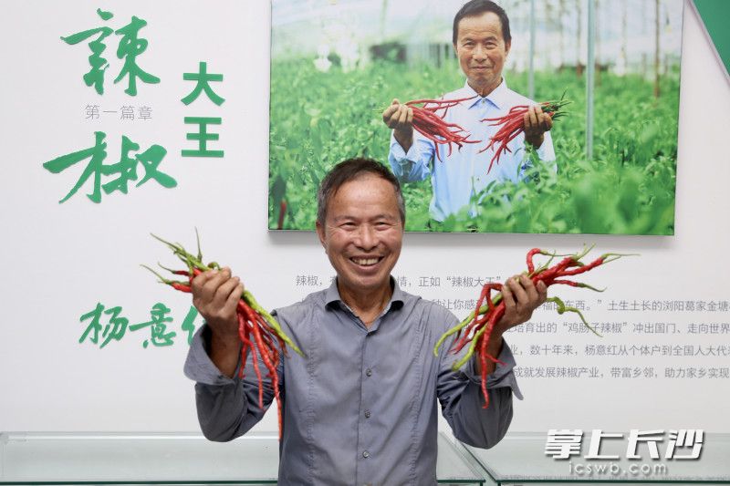 杨意红在写有“辣椒大王”字样的宣传画前拍照。