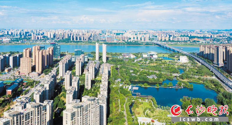 洋湖湿地公园良好的生态环境吸引着大家前来安家、投资兴业。长沙晚报全媒体记者 邹麟 摄