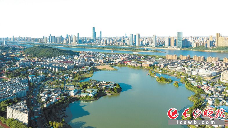 长沙城管部门始终坚持从精致上做文章，从细处下功夫，从实处惠民生，星城更加宜居宜业宜游。邹麟 摄