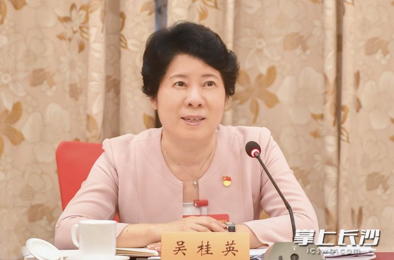 吴桂英在讨论审议中发言。长沙晚报全媒体记者 余劭劼 摄