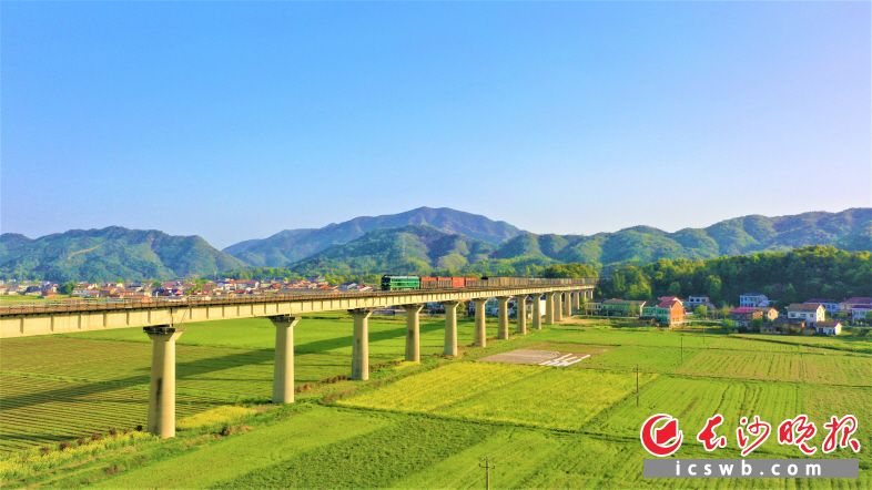 苍山若黛，阡陌纵横，宁乡横市镇从容绘就乡村美景。图片除署名外均为受访方供图