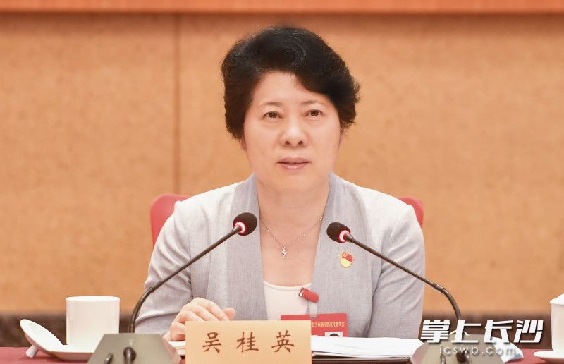 吴桂英同志在讨论审议中发言。长沙晚报全媒体记者 余劭劼 摄