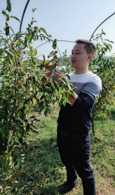 初级职业农民刘鹏在枣园基地
