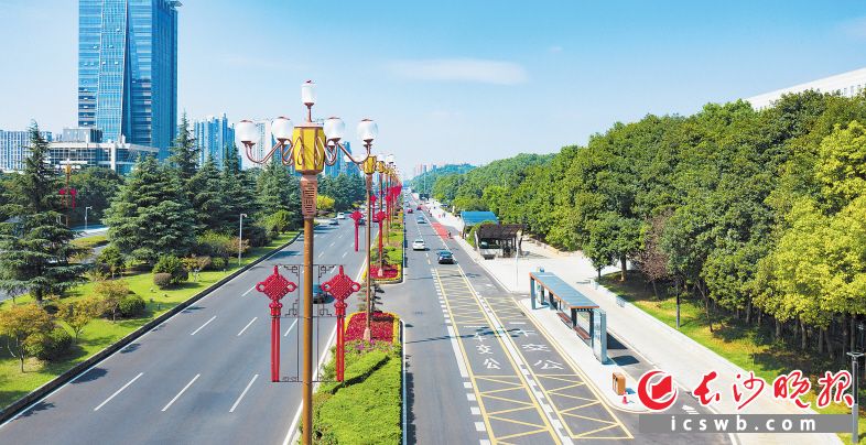 提质改造后的岳麓大道，道路环境及景观配套焕然一新、满眼绿意。