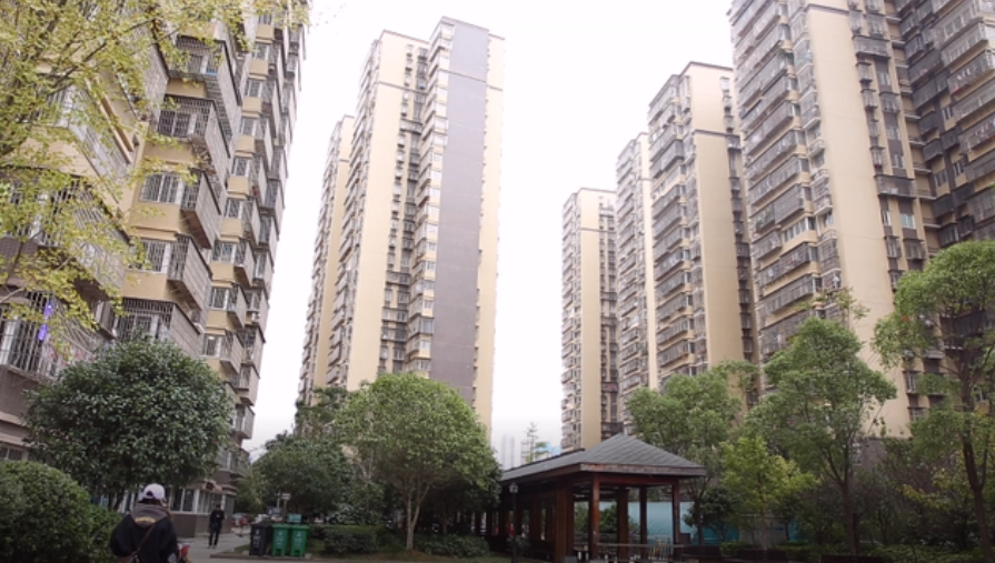 小区环境清洁