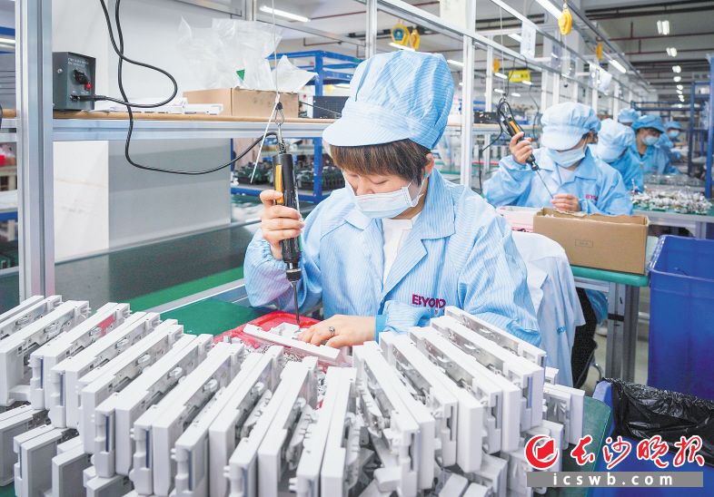 进入四季度，湖南比扬医疗科技有限公司生产车间内一派热火朝天的景象。长沙晚报全媒体记者 朱泽寰 摄