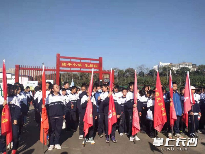 今日全校首批180名师生参加了校外劳动课程教育。