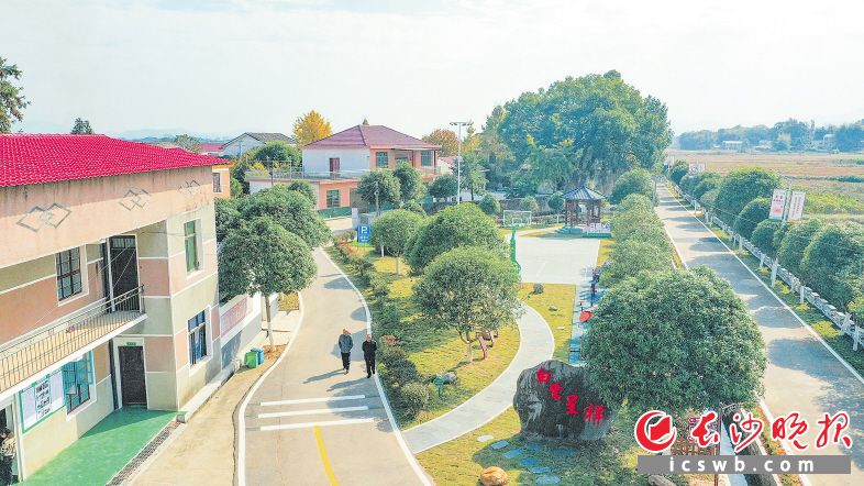 道路干净整洁，房前屋后绿树成荫，白鹭村村容村貌焕然一新。长沙晚报通讯员 彭红霞 摄