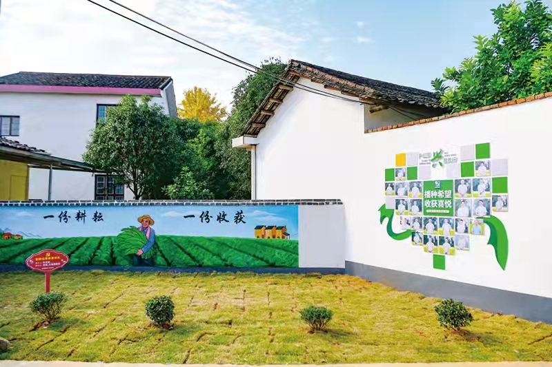本土画家马贤冬精心制作了一幅幅墙绘，讲述白鹭村的乡村振兴故事。长沙晚报全媒体记者 钱娟 拍摄