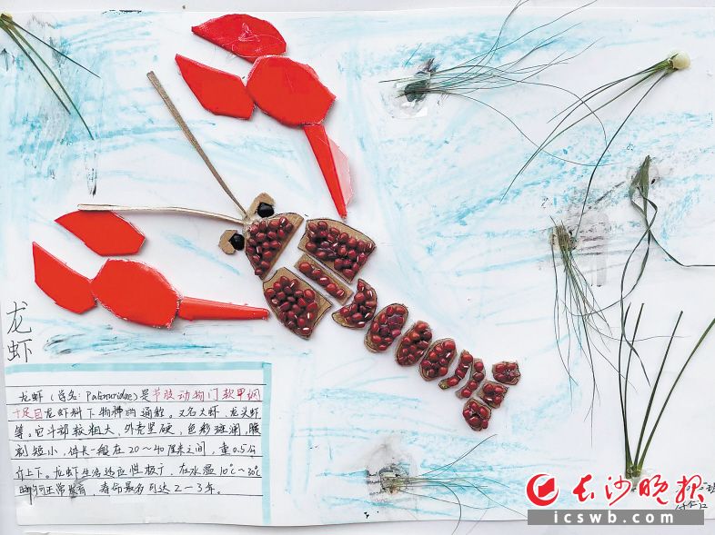 西雅中学学生制作的动物创意手工艺品。