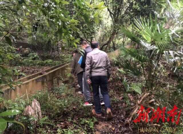 工作人员巡查天心区黄土塘滑坡