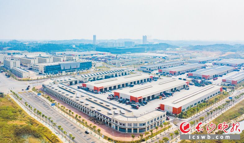 长沙传化公路港是长沙城市绿色货运配送三级节点网络中的一级节点，每天都有各式各样的货物在这里不断地聚集，经快速分拨后发往全国。　　邹麟 摄