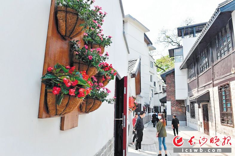 西文庙坪等历史街巷正迎来“蝶变”，成为新的网红打卡地。　　长沙晚报全媒体记者 王志伟 摄