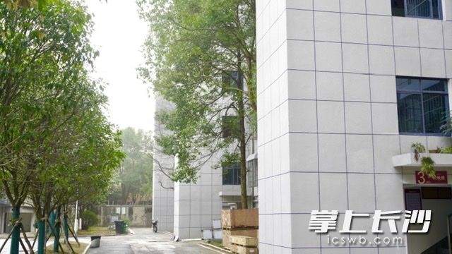 新塘小区，大气美观的电梯外部。均为通讯员 供图