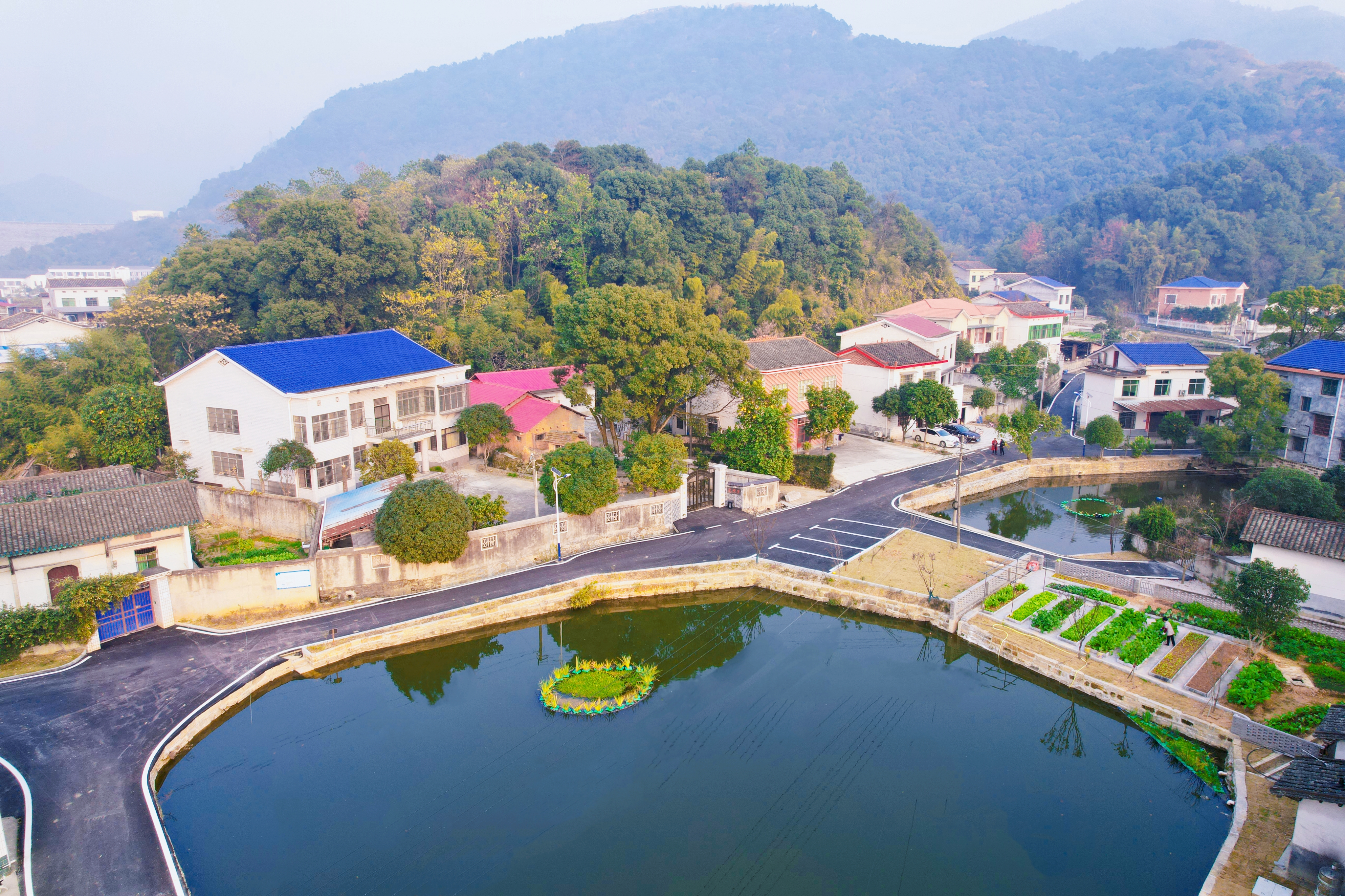 杨桥村的乡村美景。受访者供图