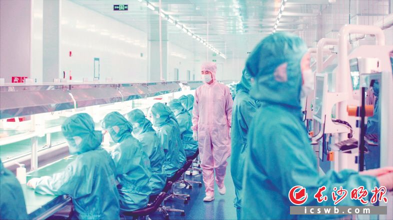 工作人员正在蓝思科技生产线上忙碌。 长沙晚报全媒体记者 易亿 摄