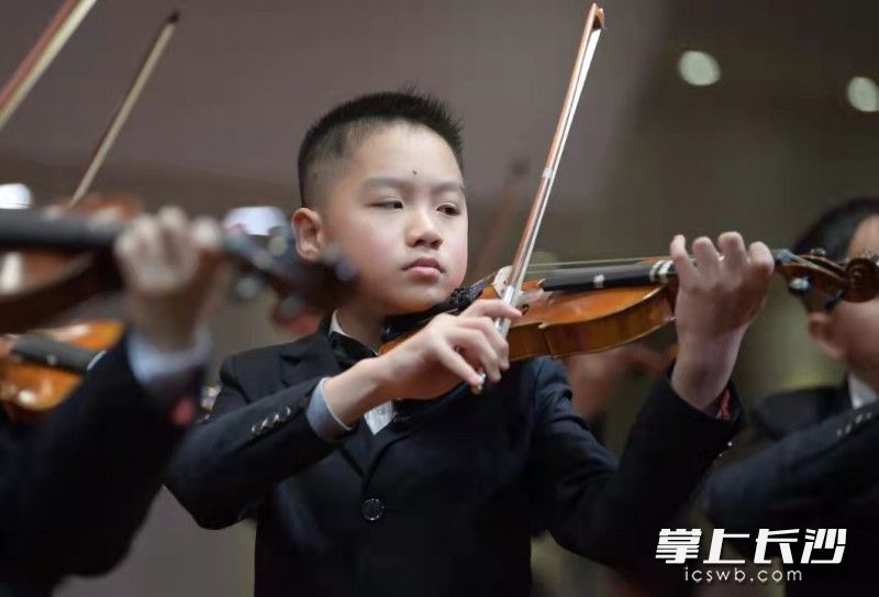 参加新年音乐会的陈思源,小提琴已经拿到中国音乐协会颁发的五级证书。 参加新年音乐会的陈思源,小提琴已经拿到中国音乐协会颁发的五级证书。