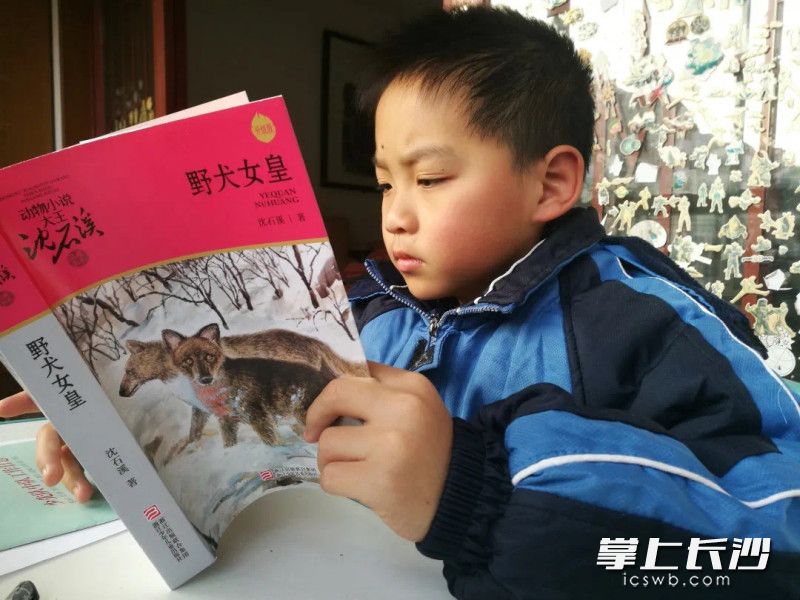 阅读也是陈思源的爱好之一。 阅读也是陈思源的爱好之一。