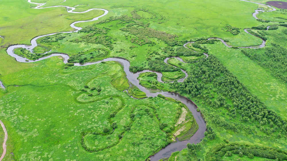 夏日的兴安盟乌兰毛都草原，绿成一片“海洋”。（毕力格摄）