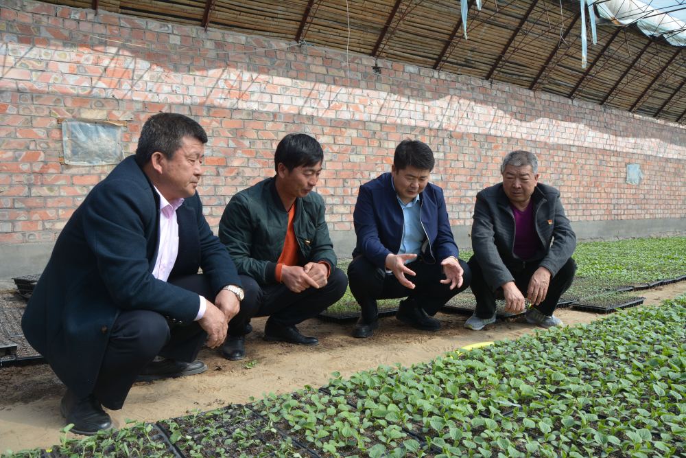 2019年，张继新（右二）和村民在内蒙古杭锦后旗中南渠村设施大棚内交流。（汪巧枝摄）