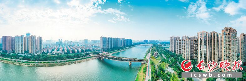 　西龙村，已从昔日的传统乡村蝶变成了城市美丽风景线。均为长沙晚报全媒体记者 陈飞 摄