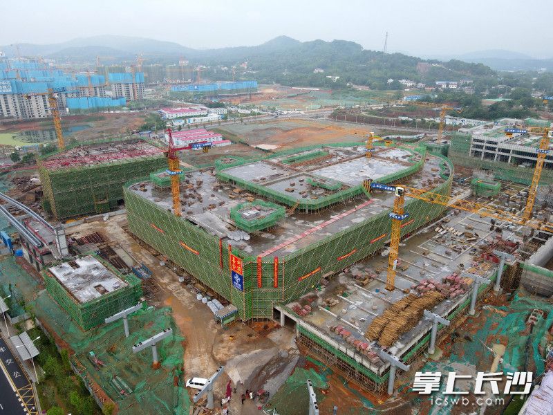 26日，大王山游客集散中心及停车场建设PPP项目最大单体子项目——山塘（北部）游客集散中心正式封顶。  均为长沙晚报全媒体记者 陈焕明 通讯员 邓心怡 摄影报道