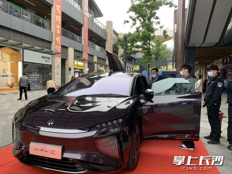 市民在看车。   长沙晚报全媒体记者 洪虹 摄