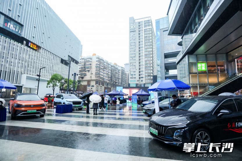 现场新能源汽车品牌云集。