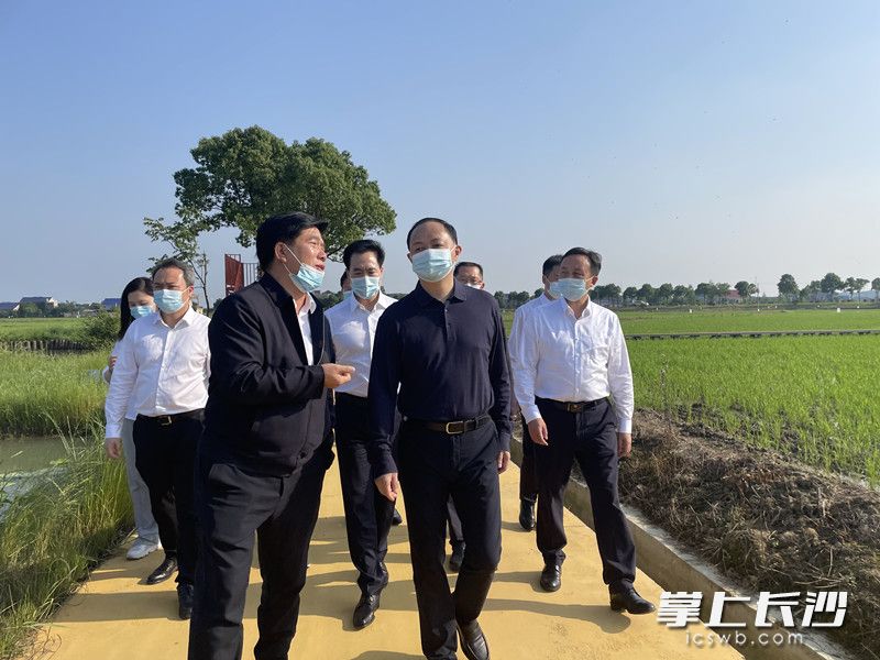 郑建新走上田间地头了解春耕和早稻生产情况。
