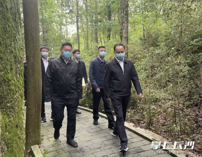 郑建新一行来到大围山国家森林公园栗木桥段，开展巡林。