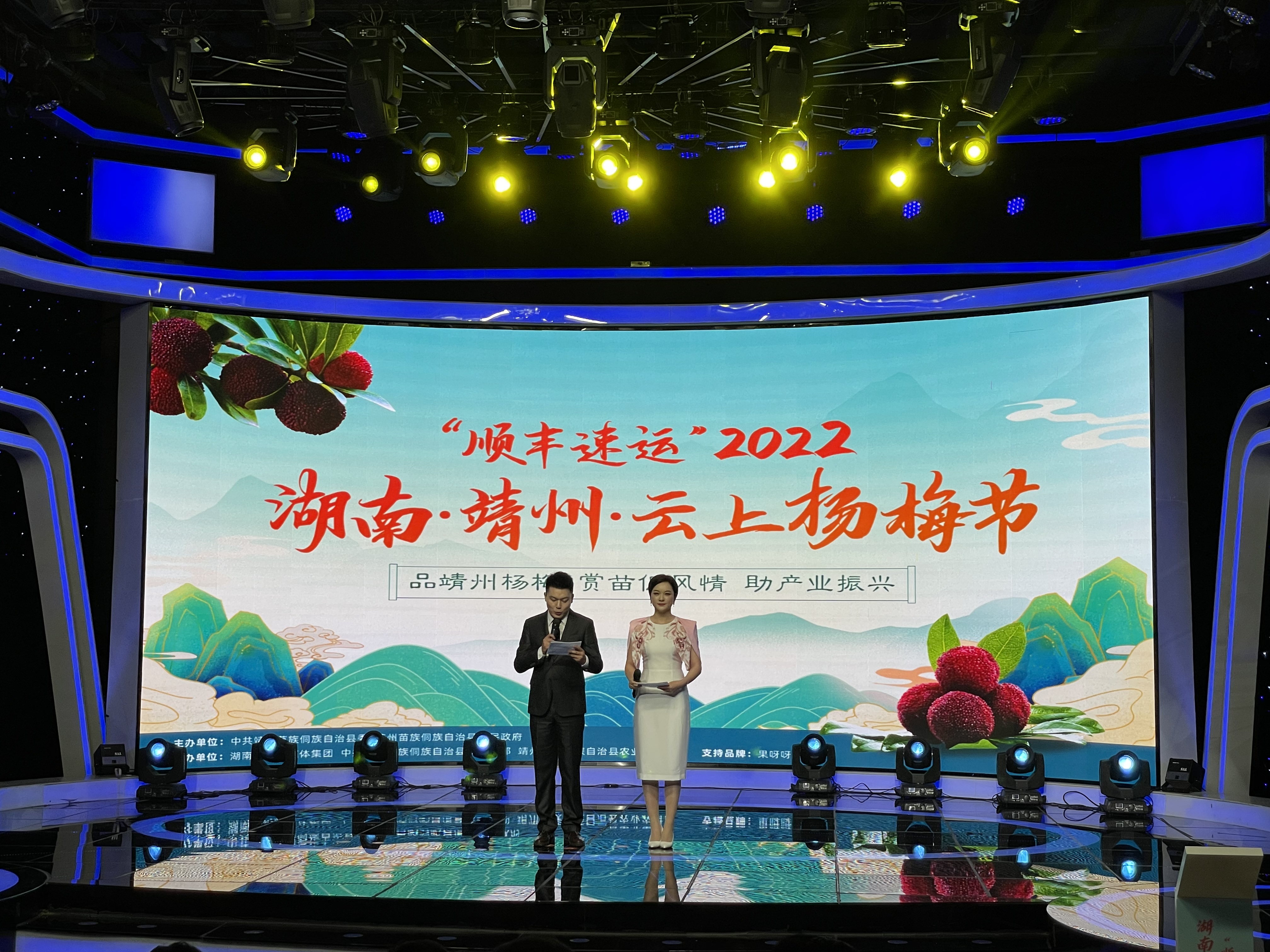 “顺丰速运”2022年湖南·靖州·云上杨梅节暨产业振兴促销活动新闻发布会现场。