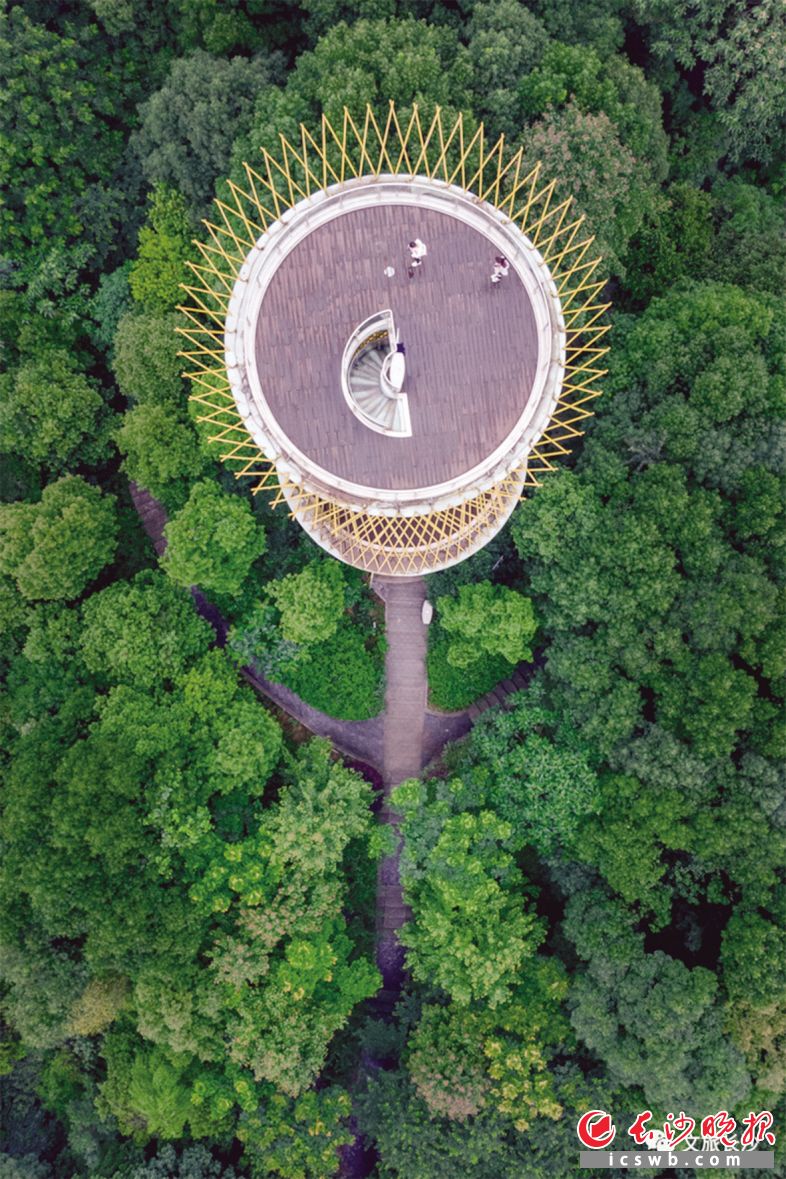 梅溪湖文化岛景观塔