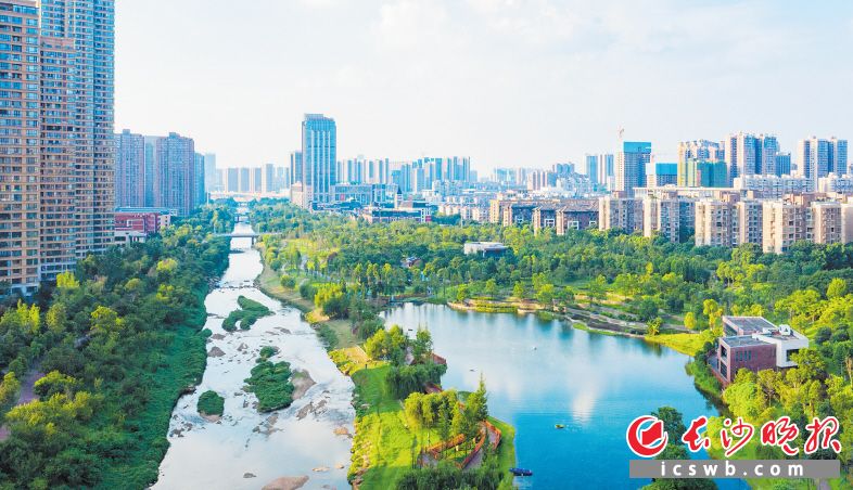 如今的圭塘河水清岸绿，成为市民散步游玩的好地方。均为长沙晚报全媒体记者 邹麟 摄