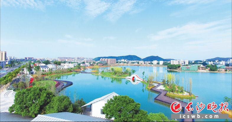 经过生态环境整治后的后湖，如诗如画。岳麓融媒 供图