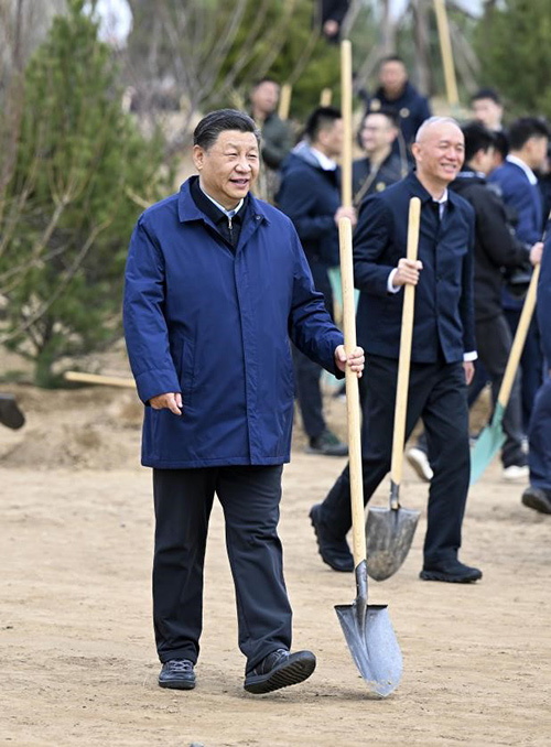 2022年3月30日，党和国家领导人习近平、李克强、栗战书、汪洋、王沪宁、赵乐际、韩正、王岐山等来到北京市大兴区黄村镇参加首都义务植树活动。这是习近平拿起铁锹走向植树地点。（新华社发）