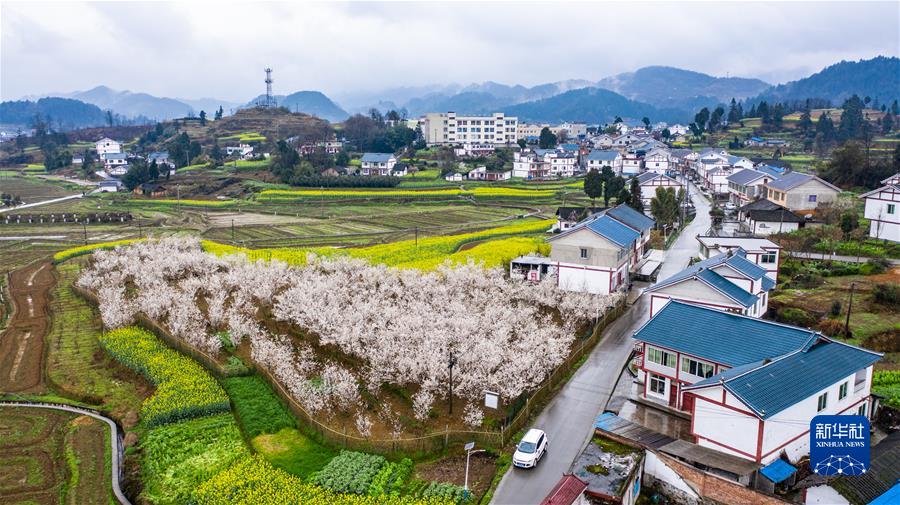 遵义市播州区枫香镇花茂村景色（2020年2月28日摄，无人机照片）。新华社记者 陶亮 摄