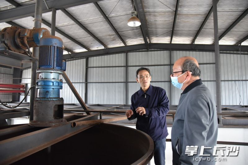 长沙市组织质量专家走进企业为企业质量管理体系“会诊把脉”。 长沙晚报全媒体记者 周辉霞 摄