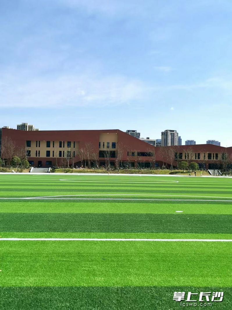 学校的绿茵场。