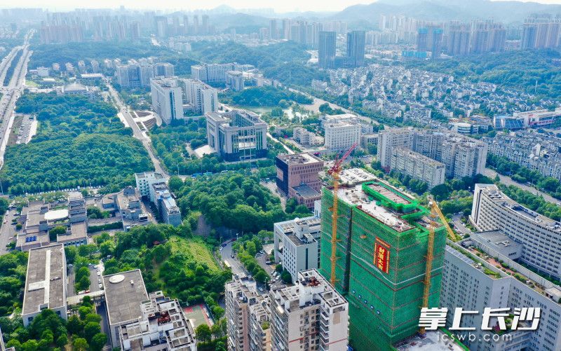 6月30日，在岳麓大道以北、岳华路以西，紧邻长沙市公共资源交易中心和市人防办，随着最后一方混凝土在90米高空浇筑完成，长沙城建信息中心项目顺利实现主体封顶。长沙晚报全媒体记者 邹麟 摄