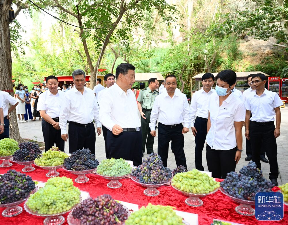 7月12日至15日，中共中央总书记、国家主席、中央军委主席习近平在新疆考察。这是14日，习近平在吐鲁番市葡萄沟察看吐鲁番特色水果展示，了解当地发展葡萄特色产业、促进文旅融合发展等情况。新华社记者 李学仁 摄