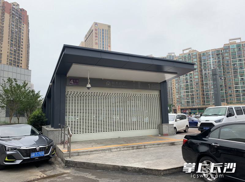 尚未开放的1号出入口前停满了车。均为长沙晚报全媒体记者 邓艳红 摄