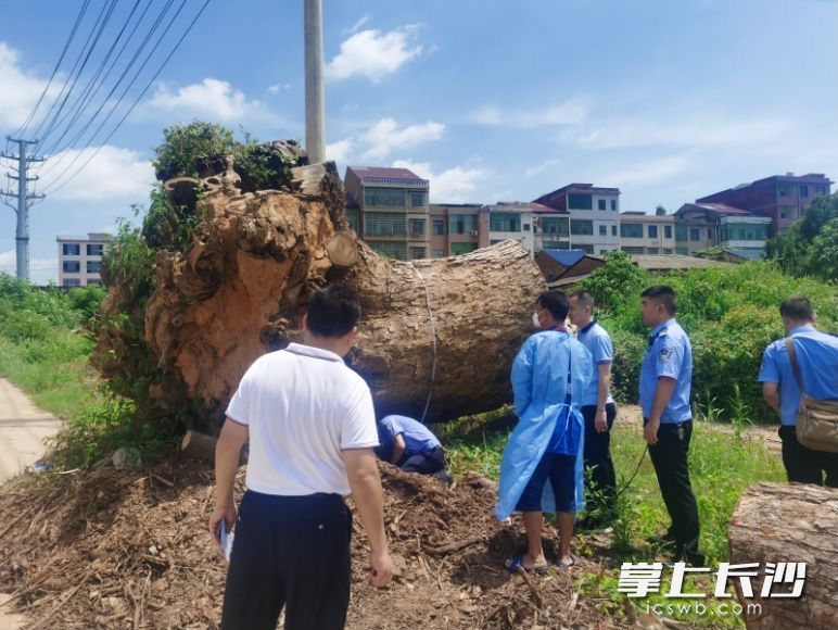 警方现场侦查。长沙公安供图