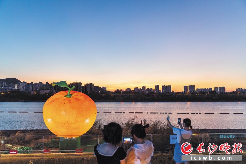 夕阳西下，湘江边的大橘子装置艺术品将与中秋明月交相辉映。