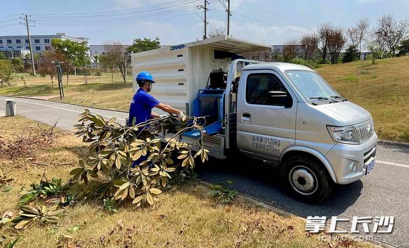 车载式树木削片粉碎机QZG150在演示碎料。图片均为长沙晚报全媒体记者 贺文兵 摄